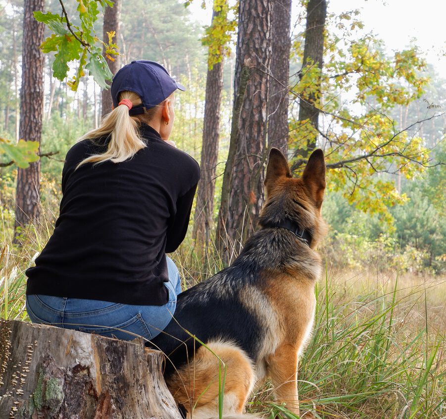 A woman in a cap sitting on a tree stump with a German Shepherd, both facing away, looking into a forest.